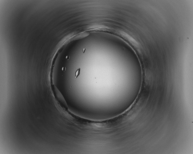 X0000092321330200709211322