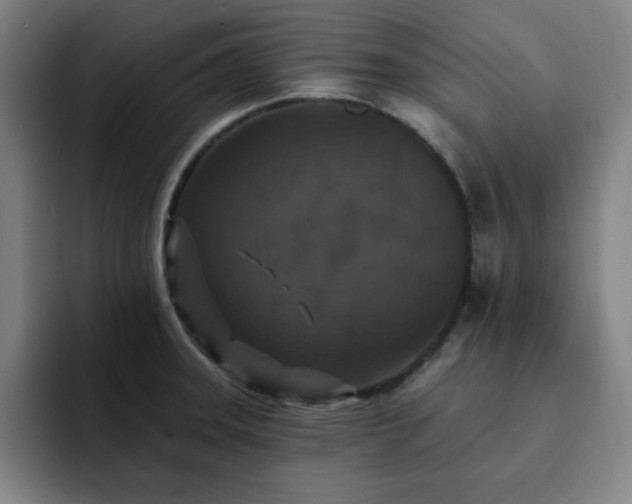 X0000092321331200709211322
