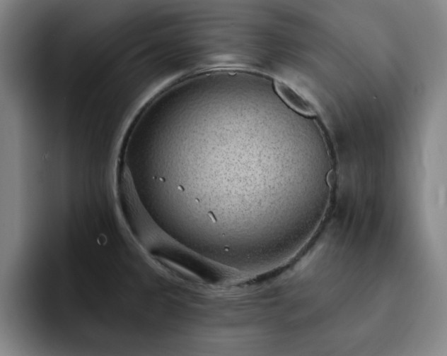 X0000092321333200709211322