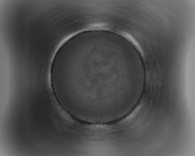 X0000092321336200709211322