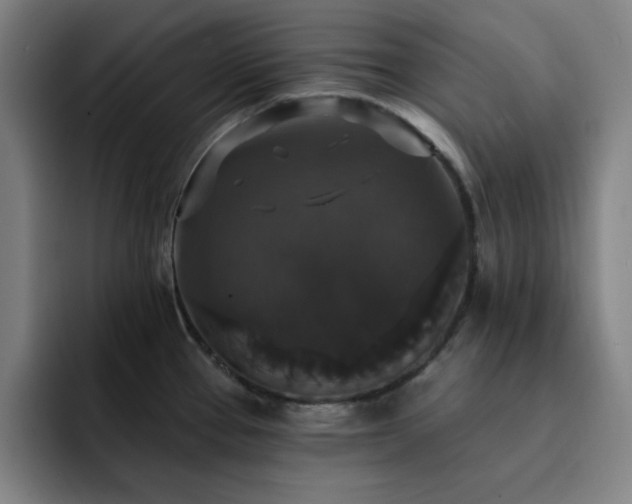 X0000092321337200709211322