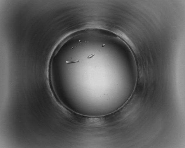 X0000092321339200709211322