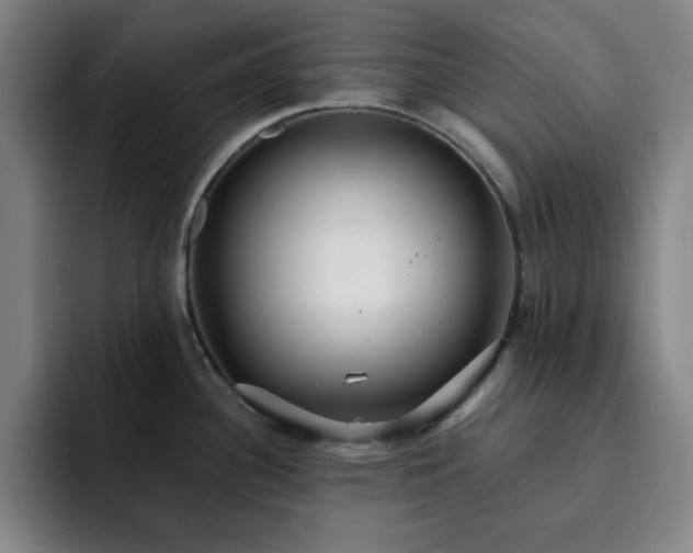 X0000092321340200709211322