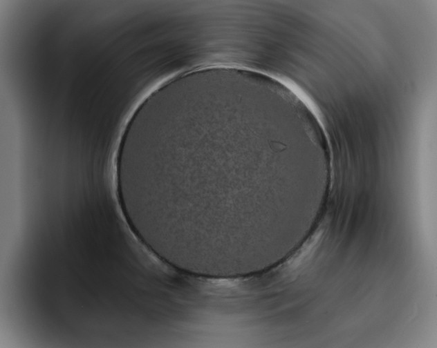 X0000092321341200709211322