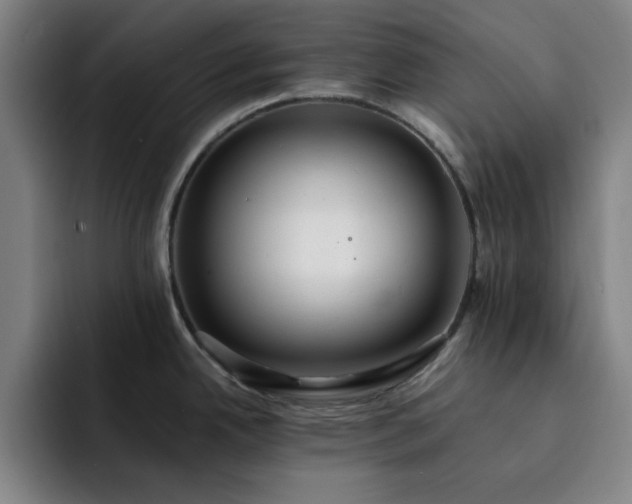 X0000092321342200709211322