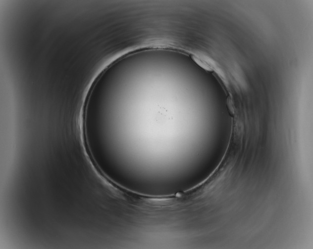 X0000092321343200709211322