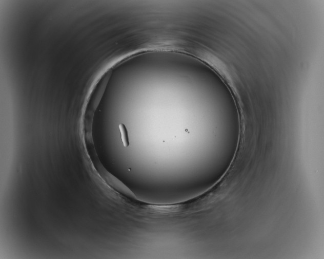 X0000092321344200709211322