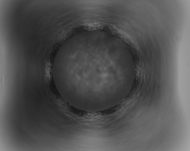 X0000092321346200709211322