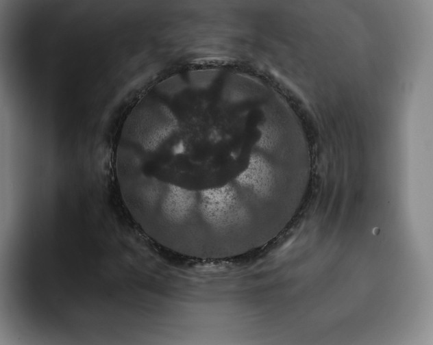 X0000092321351200709211322