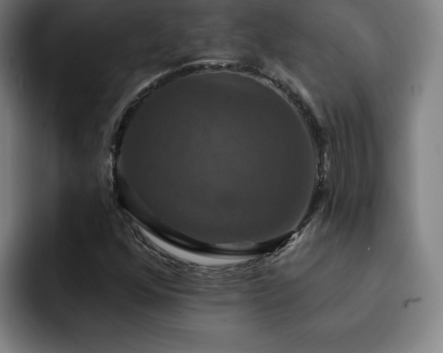 X0000092321352200709211322