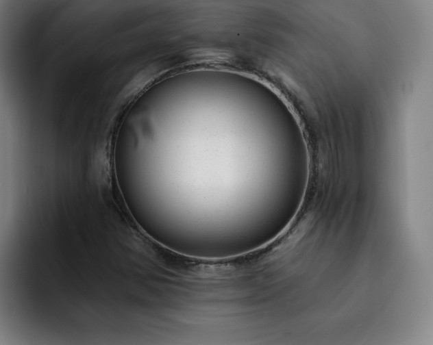 X0000092321354200709211322