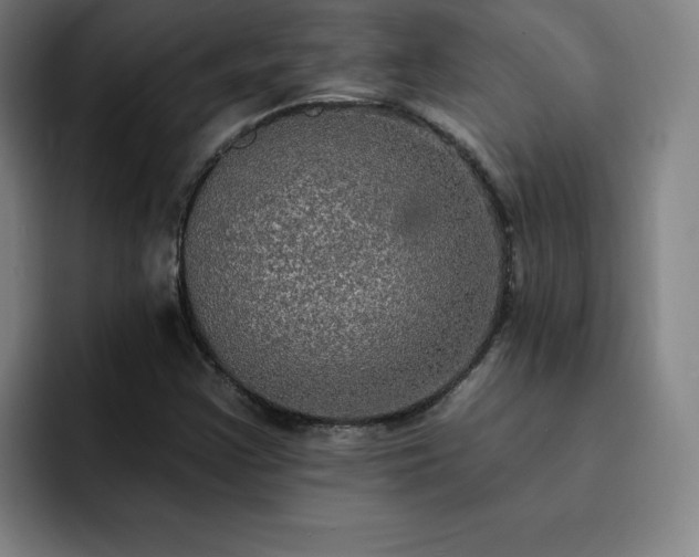 X0000092321355200709211322