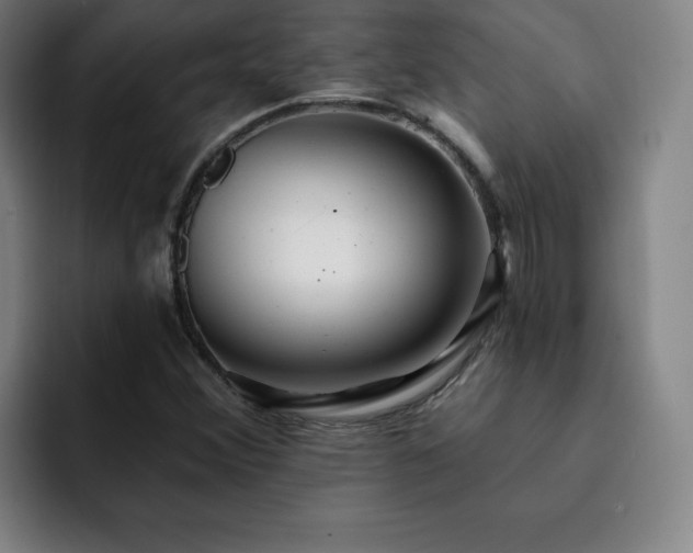 X0000092321356200709211322