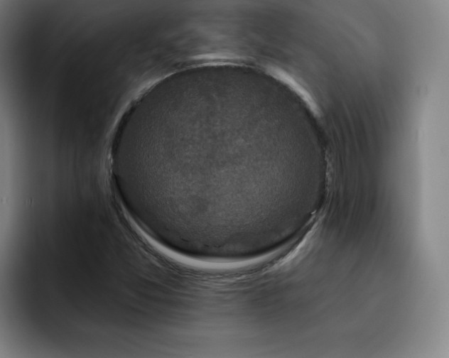 X0000092321357200709211322