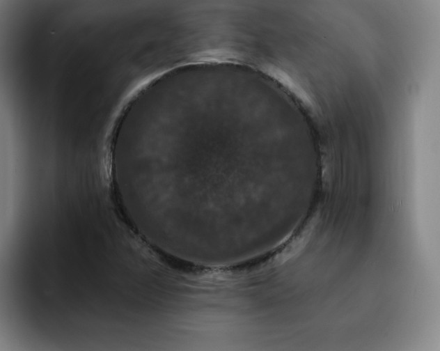 X0000092321358200709211322