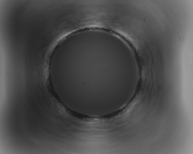 X0000092321359200709211322