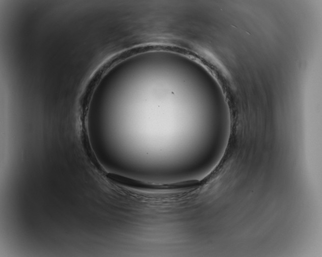 X0000092321360200709211322