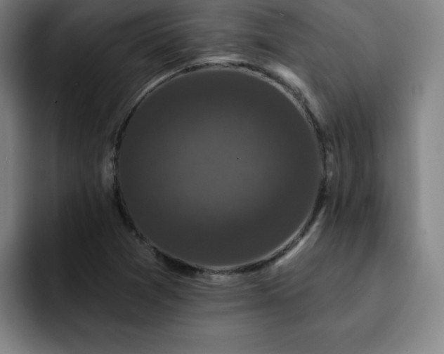 X0000092321361200709211322