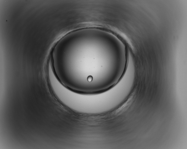 X0000092321365200709211322
