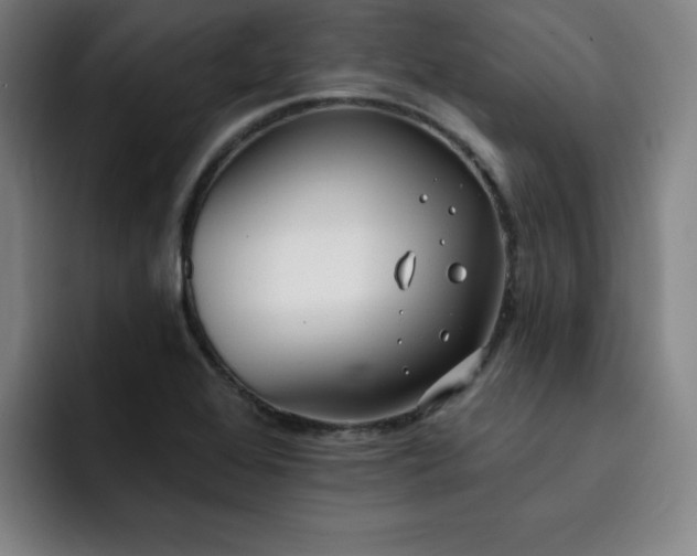X0000092321368200709211322