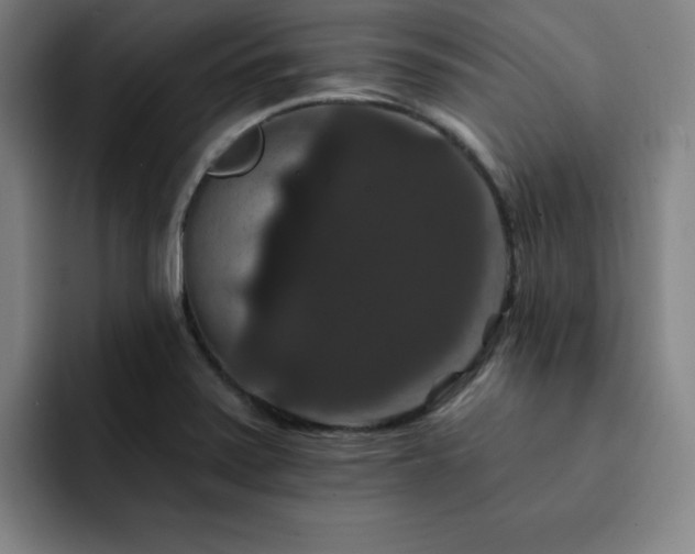 X0000092321371200709211322