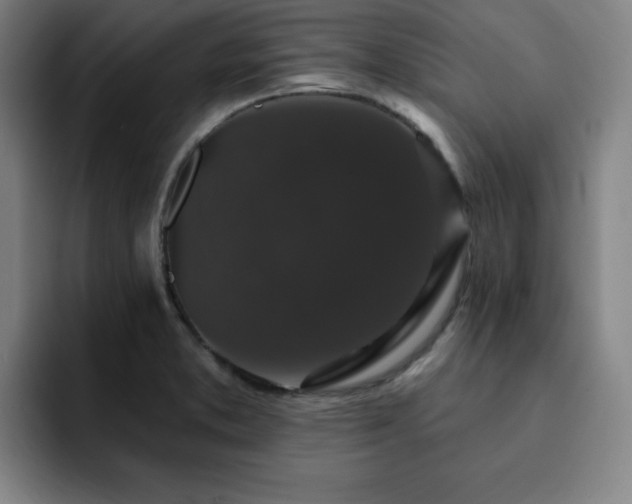 X0000092321373200709211321