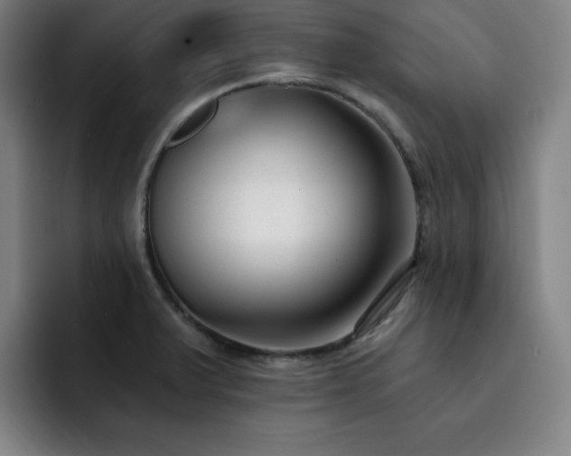 X0000092321375200709211321