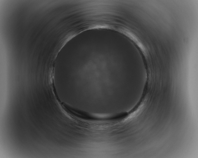 X0000092321377200709211321