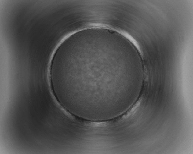 X0000092321381200709211321