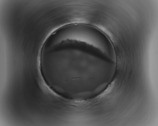 X0000092321383200709211321