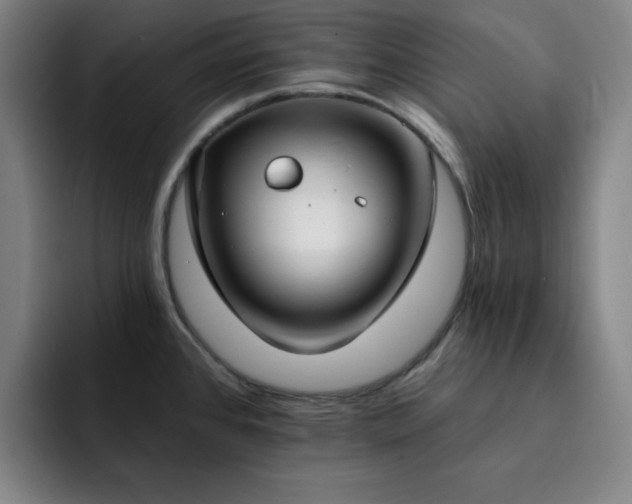 X0000092321384200709211321