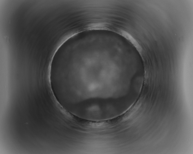 X0000092321386200709211321