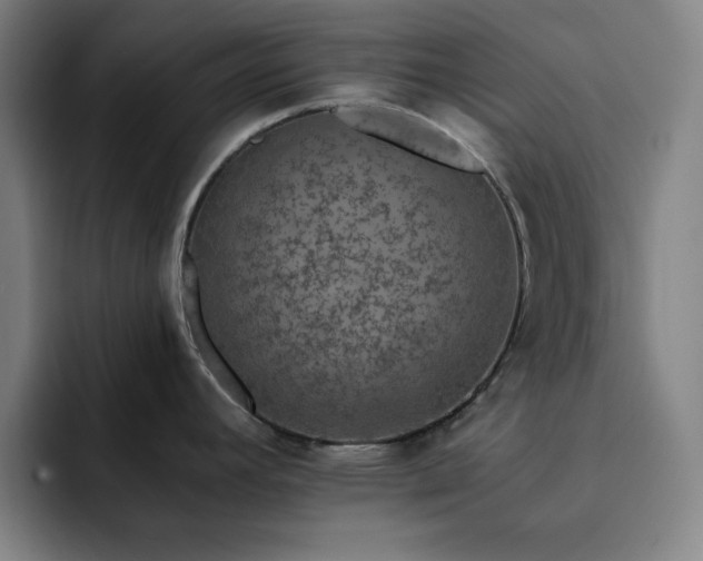 X0000092321392200709211321