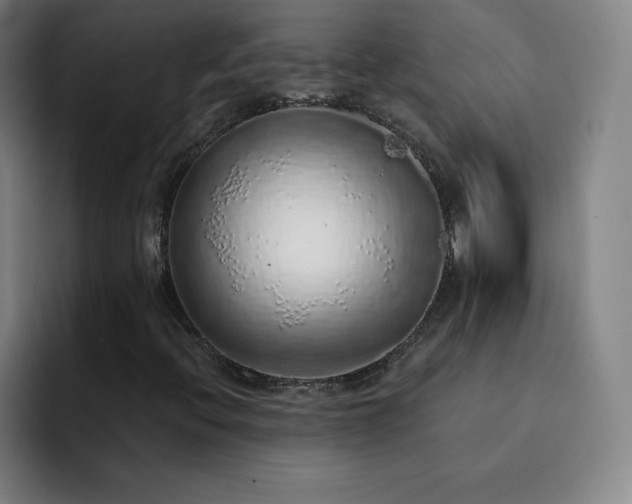 X0000092321396200709211321