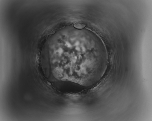 X0000092321397200709211321