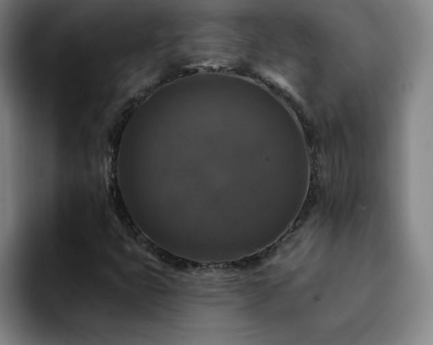 X0000092321399200709211321