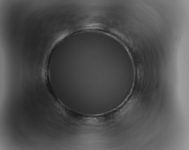 X0000092321405200709211321