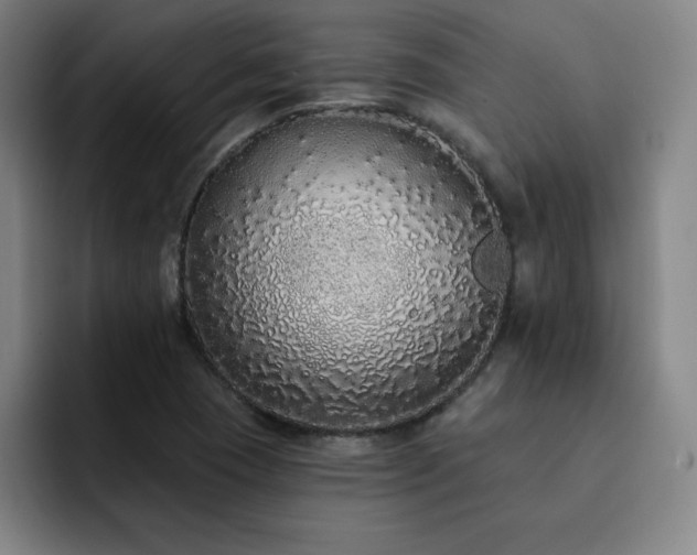 X0000092321409200709211321