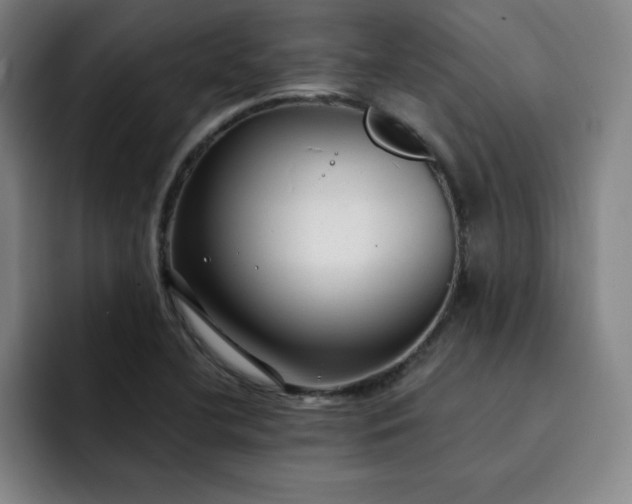 X0000092321412200709211321