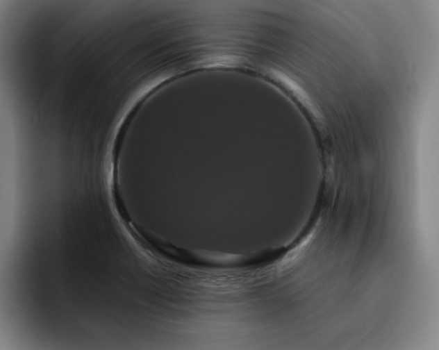 X0000092321418200709211321