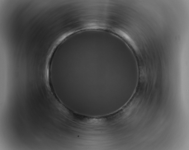 X0000092321419200709211321