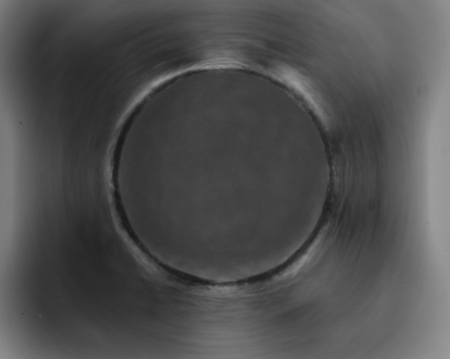 X0000092321422200709211321