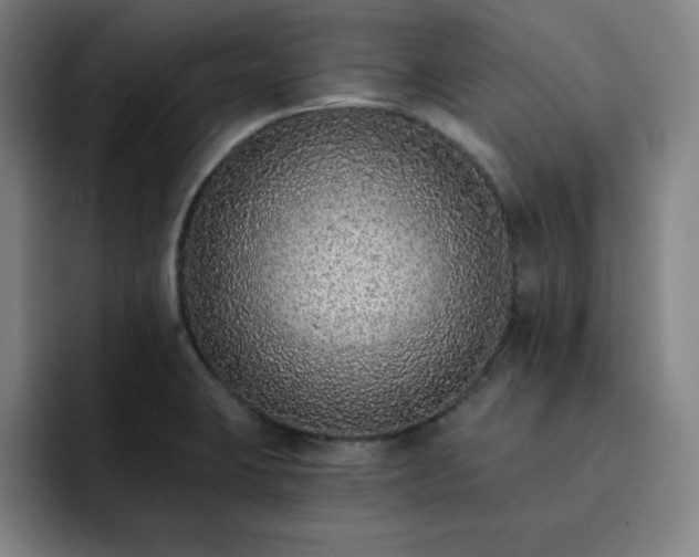 X0000092321423200709211321