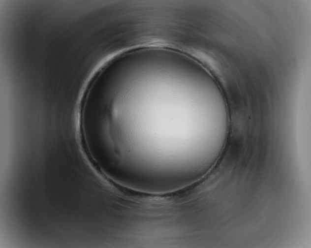 X0000092321424200709211321