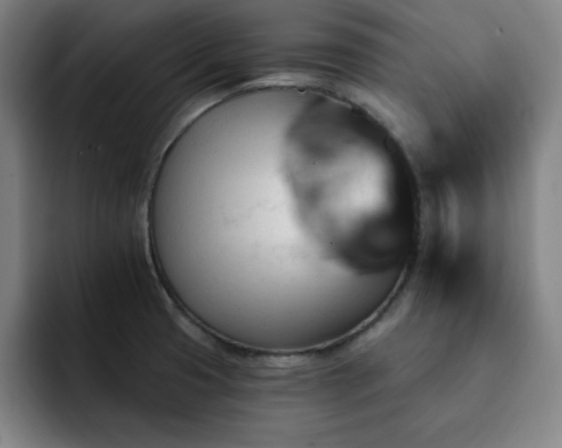X0000092321425200709211321