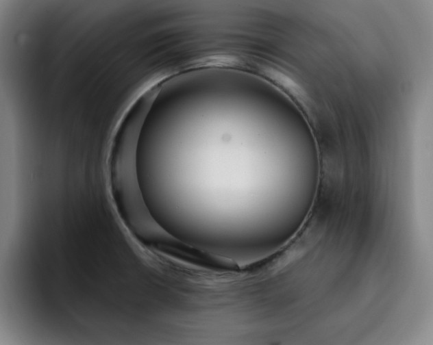 X0000092321426200709211321
