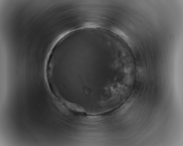 X0000092321427200709211321