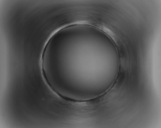 X0000092321428200709211321
