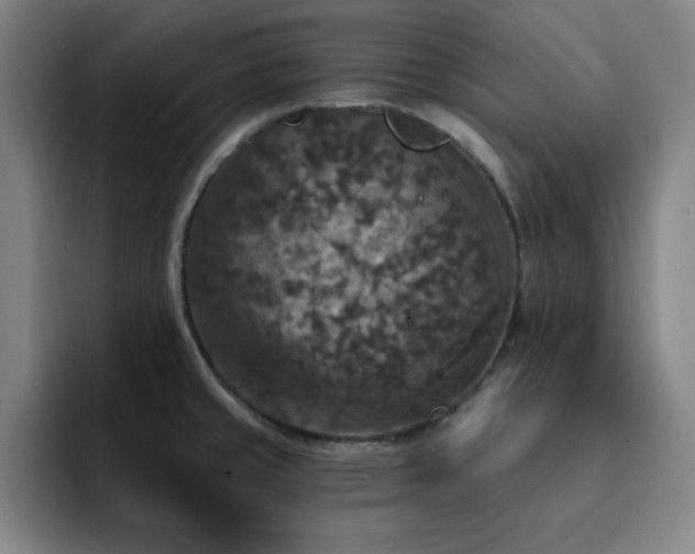 X0000092321429200709211321