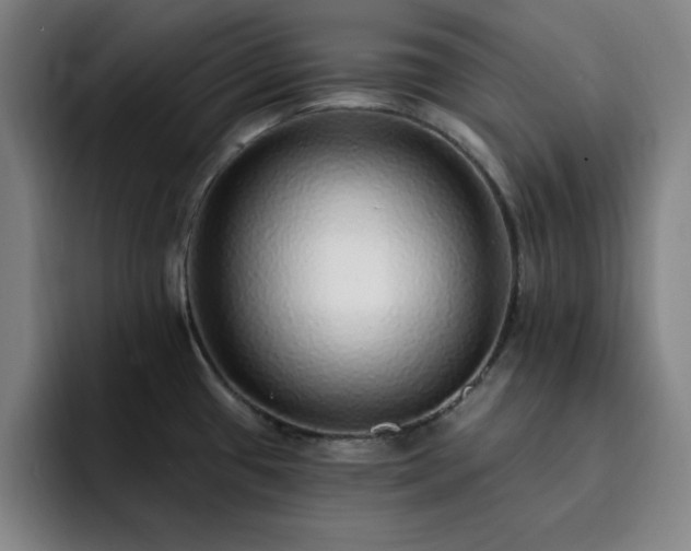 X0000092321433200709211321